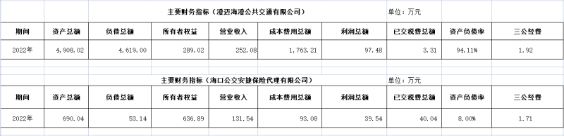 ?？诠患瘓F(tuán)及下屬各子公司2022年度信息公開(kāi)財(cái)務(wù)主要指標(biāo)明細(xì)2_副本.png